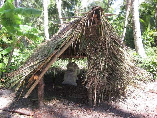 Aufbewahrung der Kokosnüsse