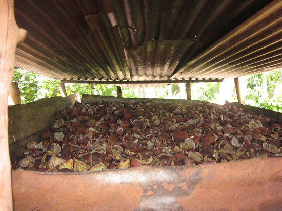 hier werdne sie gebraten