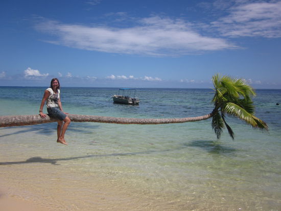 schöne Grüße aus dem Paradise
