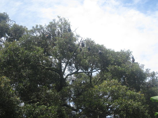 Suchbild- aber was gesucht werden soll ist ja bekannt 