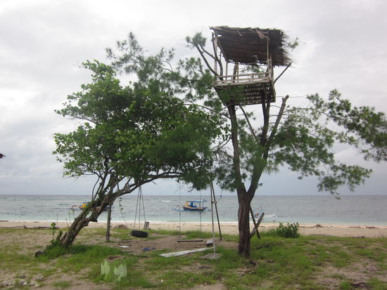 bester Spielplatz ever, sogar mit Baumhaus!