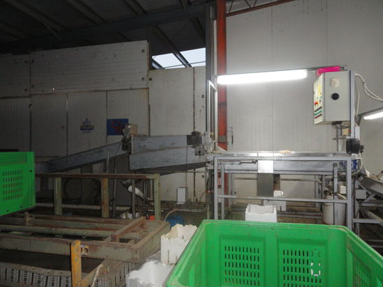 die liebe Tomaten-Sortier-Maschine