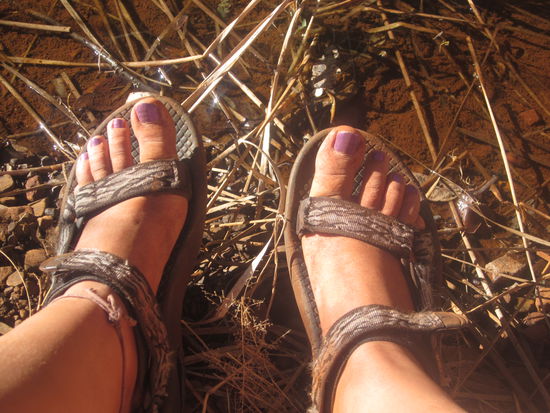 sehr sehr rote Füße, so wie man es sich in Australia vorstellt 