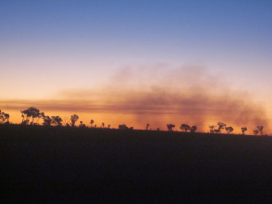 irgendwie sieht es so aus wie ich es mir in Afrika vorstelle 
