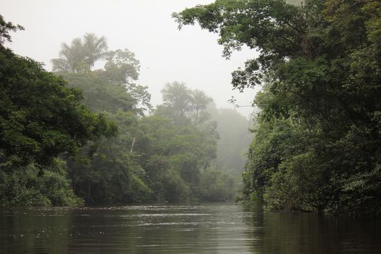 Tahuayo River Impression um 6:00 morgens