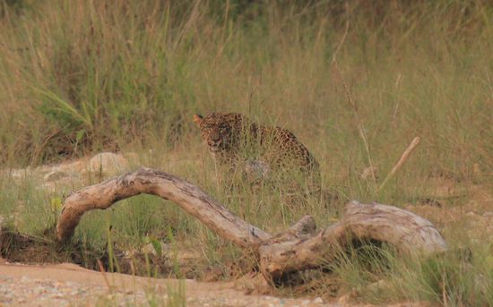   
noch Fragen, Kienzle?!