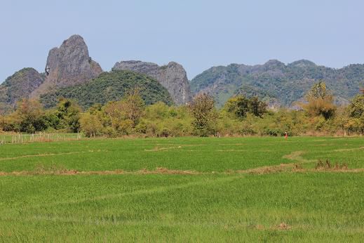 Karstlandschaft im Süden von Laos (Tha Kaek)