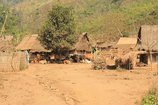 Dorf nordöstlich von Luang Prabang