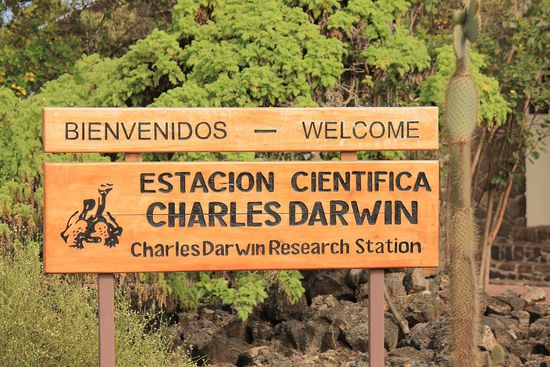 Das Heim Lonesome Georges