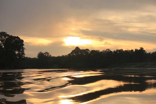 Sungai Kinabatangan bei Sonnenaufgang
