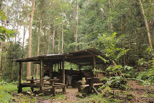 unser "forest shelter"