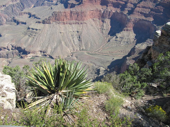 Grand Canyon