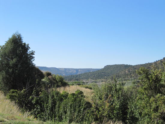 Bei dieser Aussicht fühlt man sich fast wie im heimischen Frankenwald..