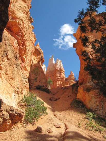 Wandern in der Schlucht des Bryce Canyon