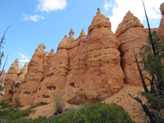 Hoodoos im Bryce Canyon