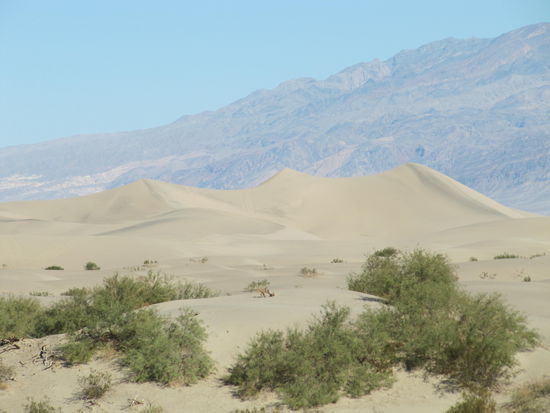 Dünen von Stovepipe Wells