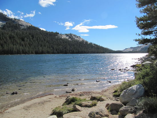 Tenaya Lake