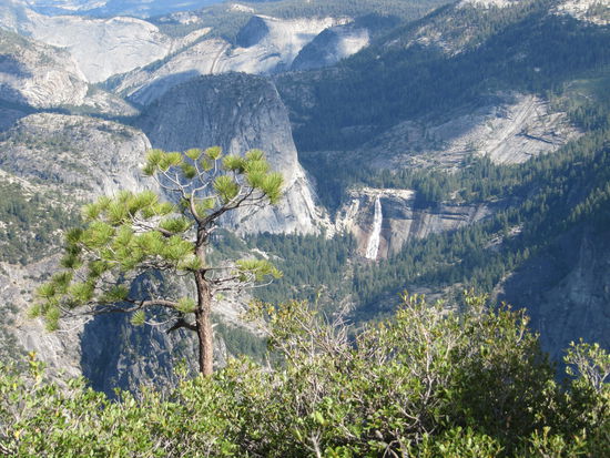 Glacier Point mit Blick auf Nevada Fall