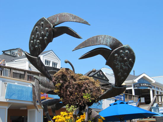 Fisherman's Wharf