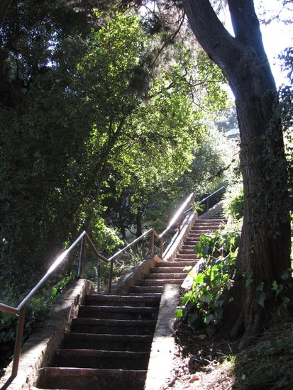 Filbert Steps