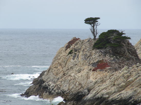Point Lobos State Park