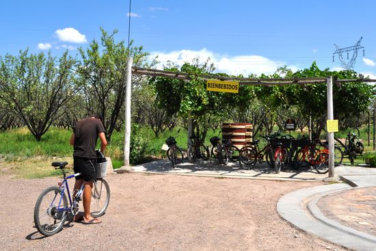 Bienbebidos bei den Weinkellereien 