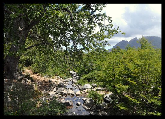 2. Trekktag: Campamento 2