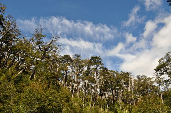 auf dem Weg nach Puerto Yungay