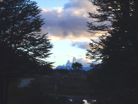 Fitz Roy zwischen den Bäumen