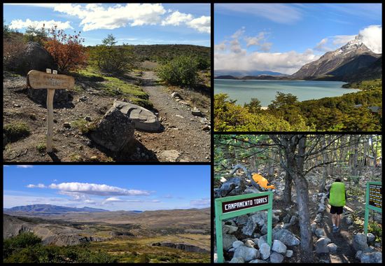 18.3.12
li. oben: signalisierte Abzweigung zum Campamento Chileno
re. oben: Aussicht auf das Campamento Los Cuernos hinunter
li. unten: Aussicht beim letzten grossen Aufstieg vor dem Camp. Chileno
re. unten: Ankunft im Campamento Torres