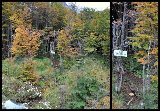 das kleine Schild in den Wald