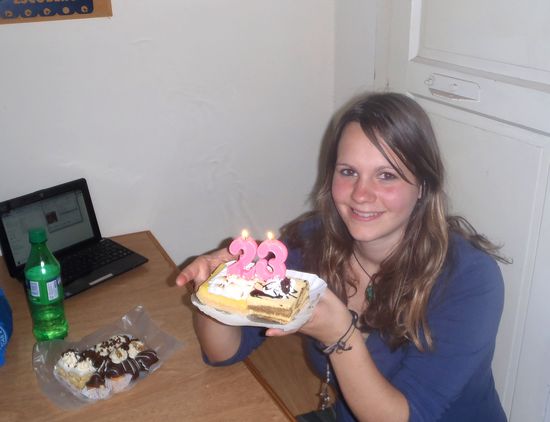 Meine Geburtstagskuchen