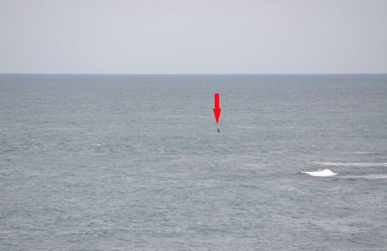 das einzige was wir von den Orca's sahen: die kleine Schwanzflosse aus der Ferne