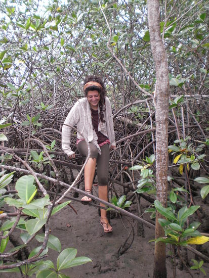 beim Klettern durch die Mangrovenbäume