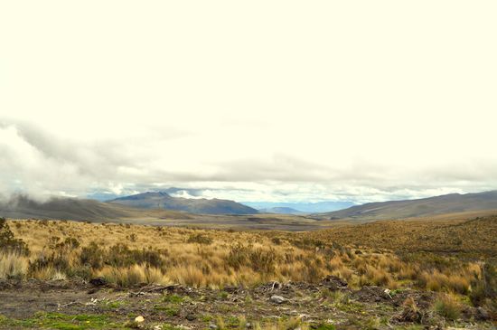 Aussicht während der Autofahrt im Cotopaxi Nationalpark