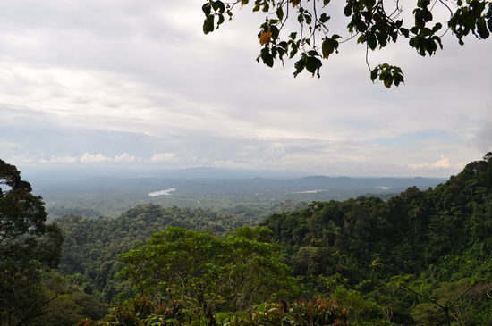 Der Ausblick über den Dschungel und den Rio Napo
