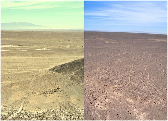 li. eine durchaus senkrechte Linie
re. der Baum von oben