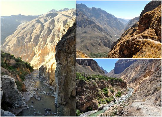 Colca Cañon