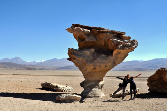 Arbol de piedra - Steinbaum