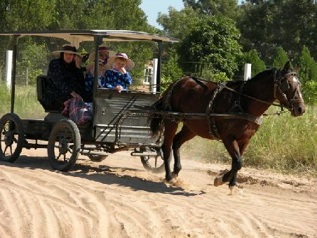 Wie vor 200 Jahren – Die Mennoniten fahren auch heute noch in Kutschen