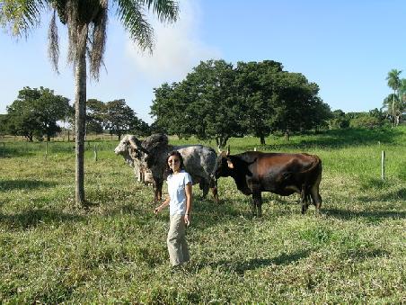 Marina will Torero werden