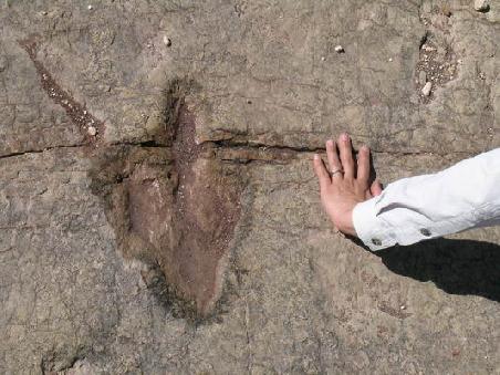 Mun Suk´s Hand neben einer Dinosaurierspur