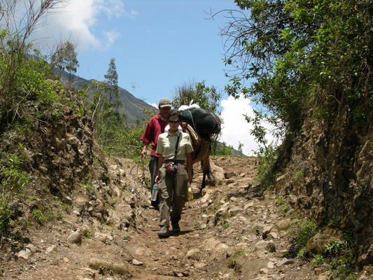 Start nach Choquequirau mit Maultier und Treiber