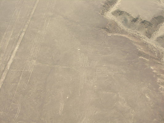Nazca Linie „Kolibri“