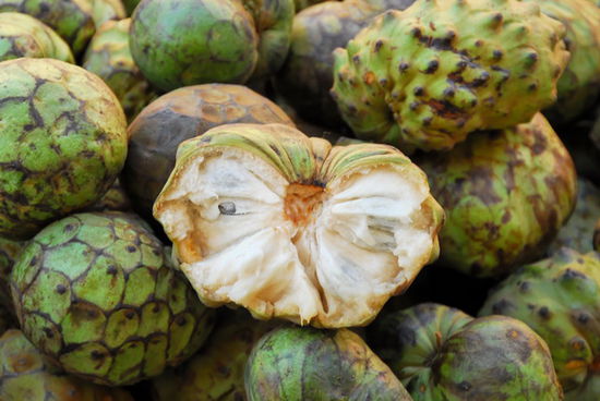 Chirimoyafrucht. Sieht zwar nicht schön aus, schmeckt dafür aber um so besser