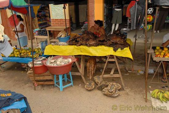 Getrockneter Fisch, getrocknetes Fleisch und lebendige Schildkröten, alles fuer die Gute Kueche auf dem Markt in Yurimaguas