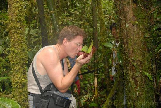 Frisches Bambuswasser, Im Urwald von Ecuador