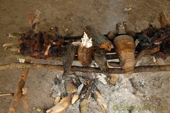 Geräucherter Kaiman und ein anderes unidentifiziertes Wildtier auf dem Grill