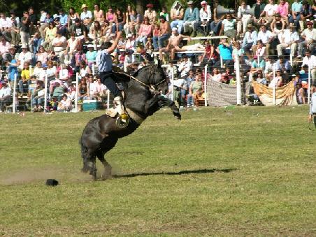 Gaucho Rodeo in Madariaga