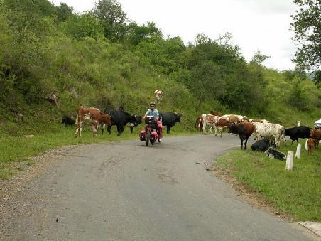 Viel Verkehr auf Argentiniens Strassen